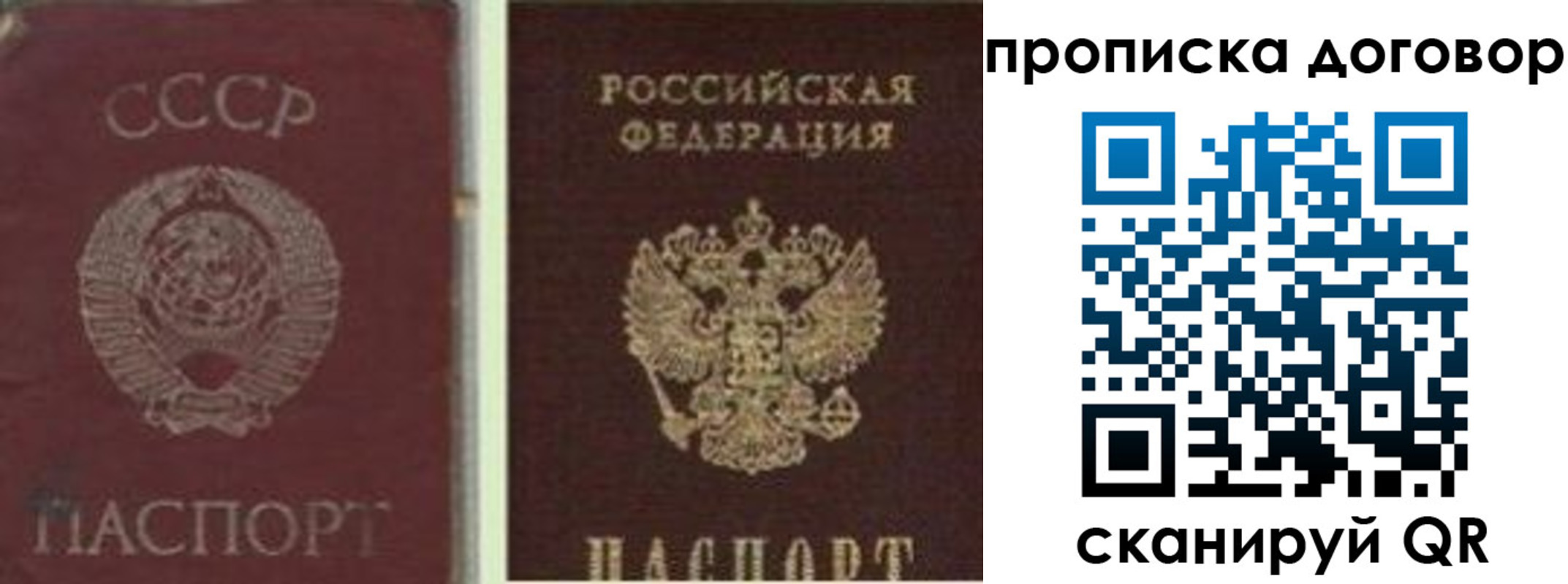 прописка гарантия в Острове
